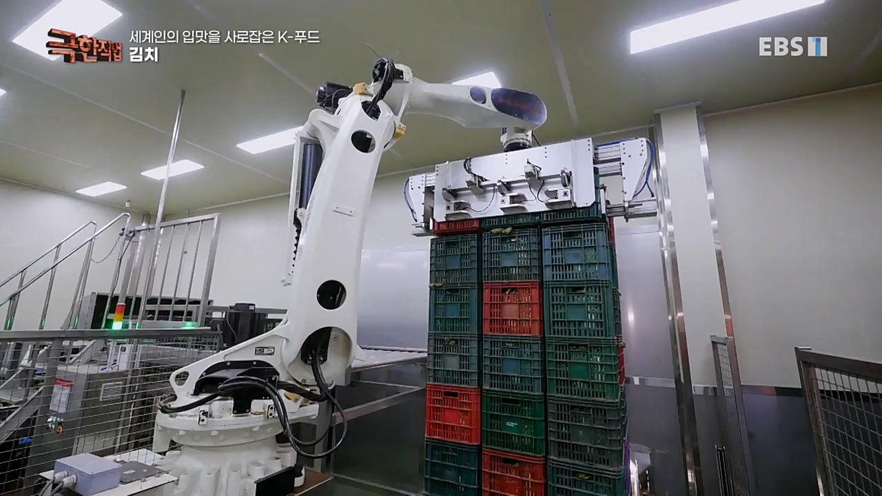 TV - 교육의 중심 EBS세계인의 입맛을 사로잡은 K-푸드.mp4_20230211_183500.866.jpg