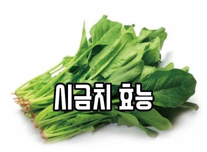 시금치 효능 알아보기