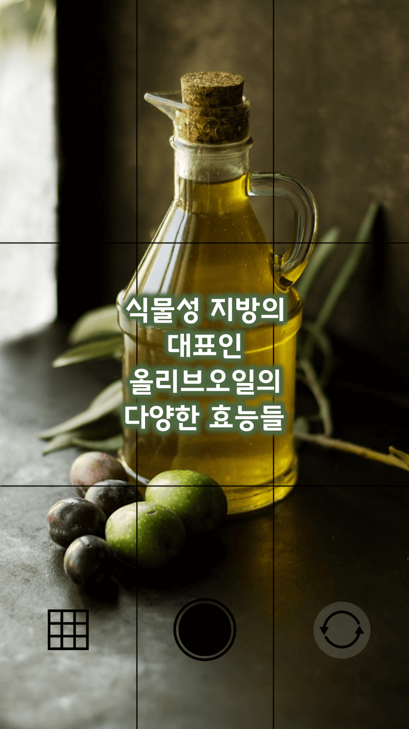 식물성 지방 올리브 오일의 다양한 효능들