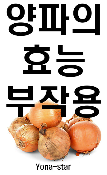  양파의 효능과 부작용 / 양파껍질 사용법
