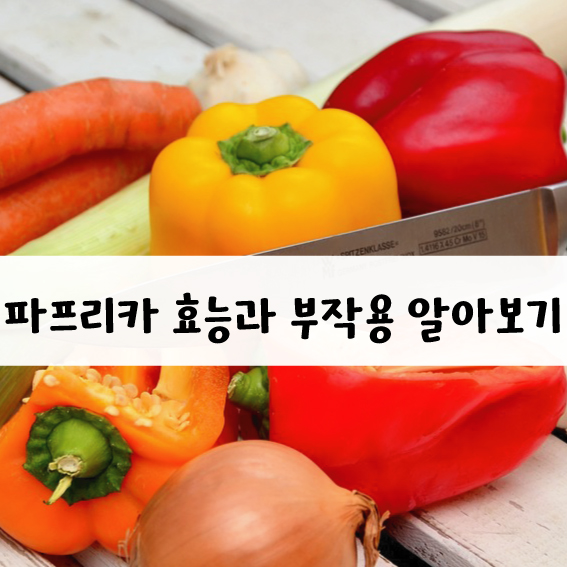 파프리카 효능과 부작용.