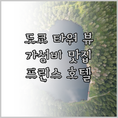 가성비 도쿄 타워 뷰 맛집 도쿄 프린