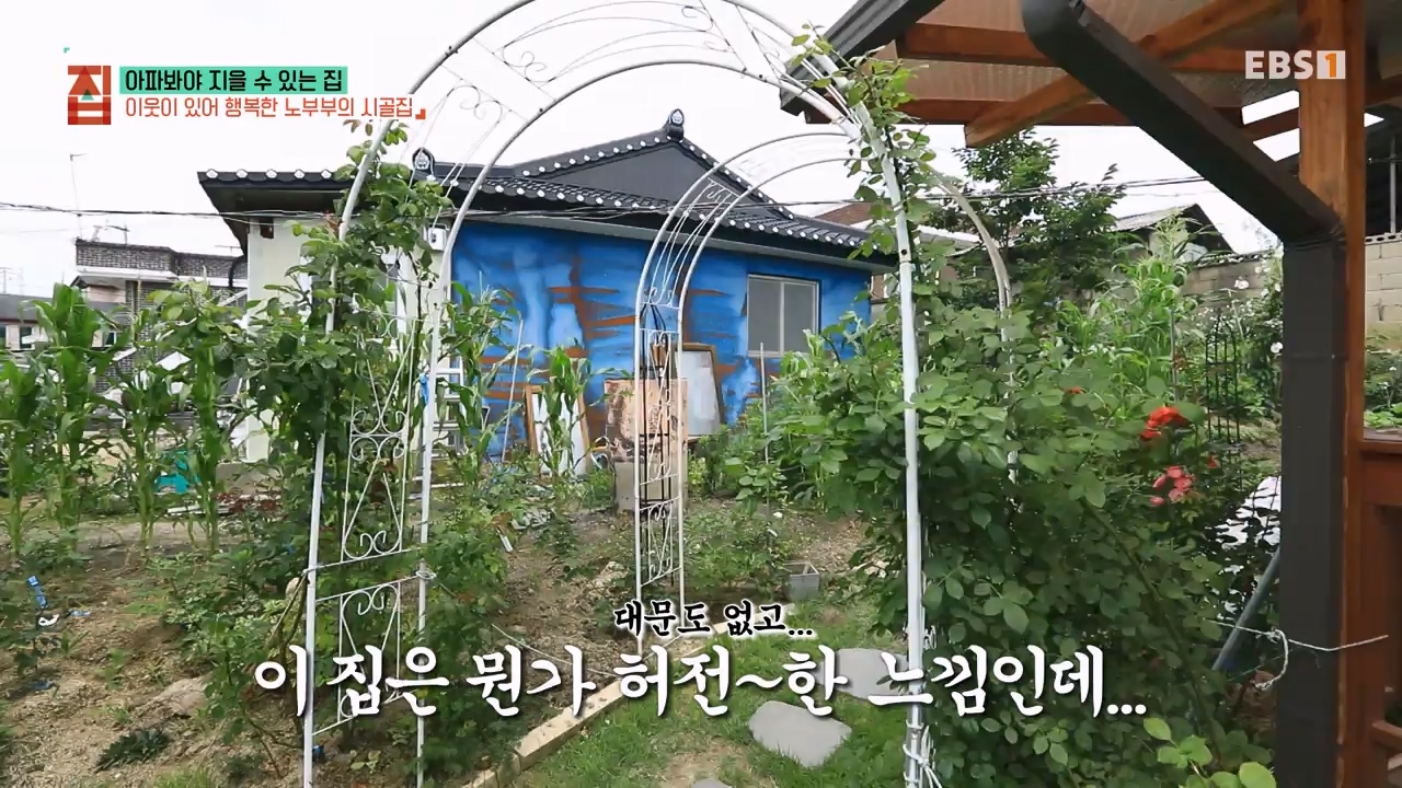 TV - 전 국민의 평생학교 EBS아파봐야 지을 수 있는 집.mp4_20230816_212620.915.jpg