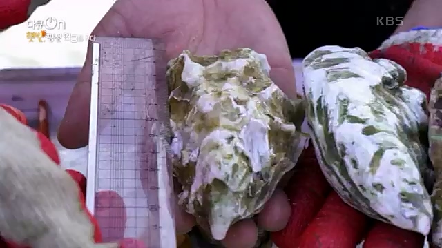 [190회] 다큐온 - KBS지역의 부활 1부 - 햇빛, 평생 연금을 주다] 지방 소멸이 가속화되고 있는 지금 한 지자체에서 실시.ts_20230328_203933.335.jpg