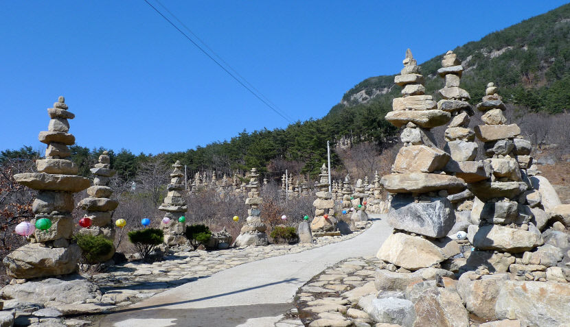 합장하는 개 털뭉치