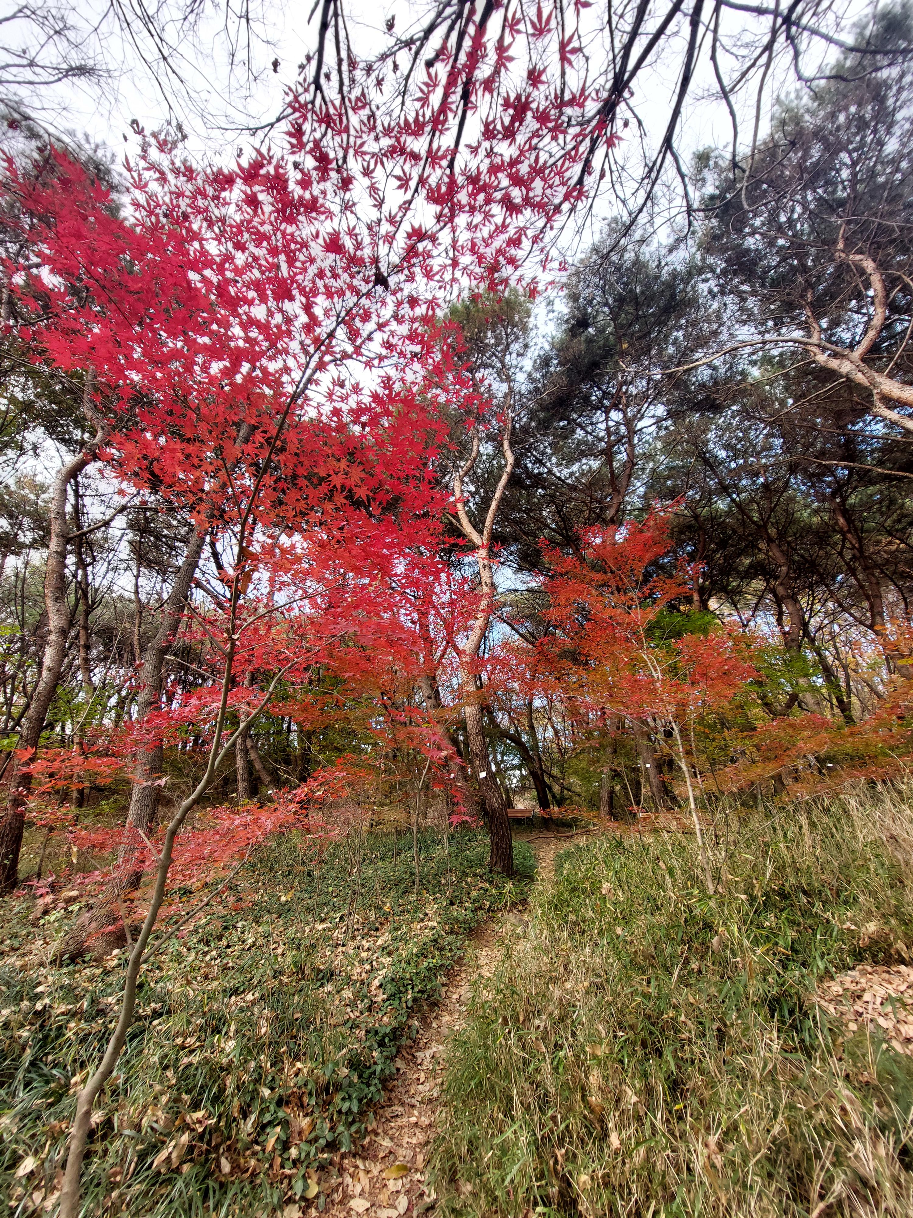 안산