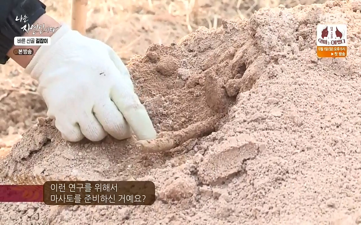 나는 자연인이다.E499.220428p-NEXT.mp4_20220428_173638.970.jpg