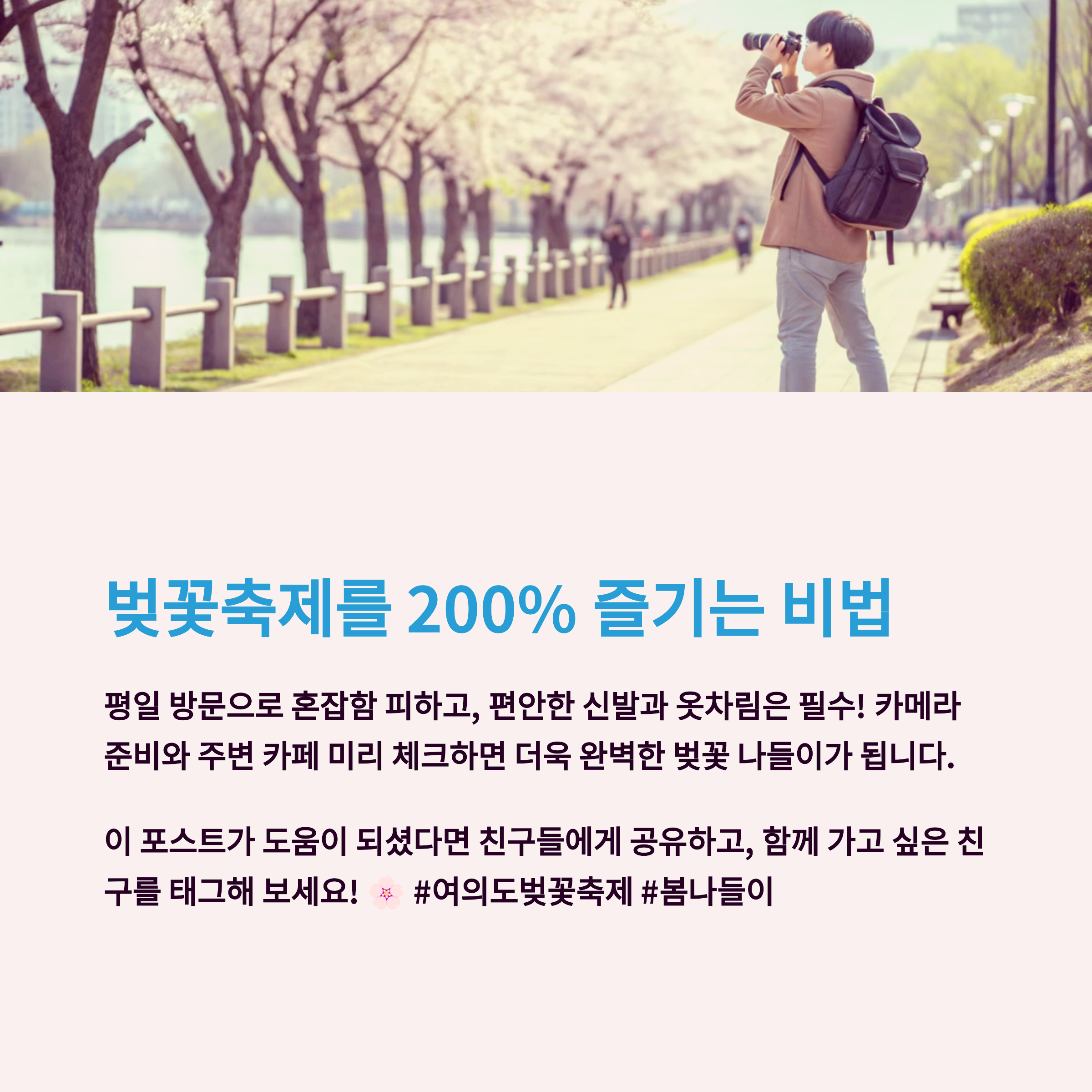 여의도 벚꽃축제 4월 1일 시작! 포토존 위치와 데이트 코스 공개 관련 이미지