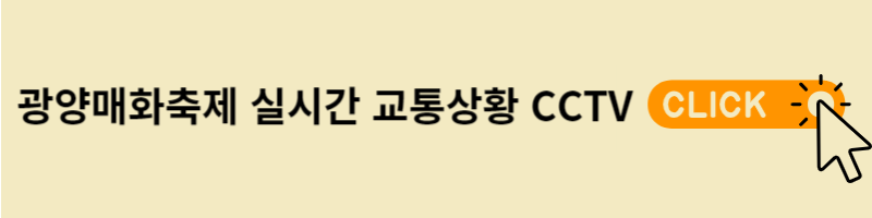 실시간 교통상황