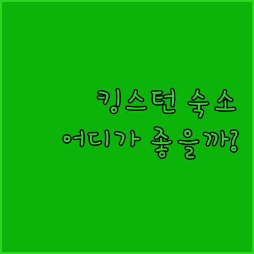 킹스턴 여행객 필독 더블트리 힐튼 v
