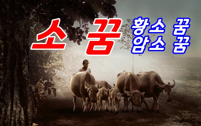  소꿈의 의미는?