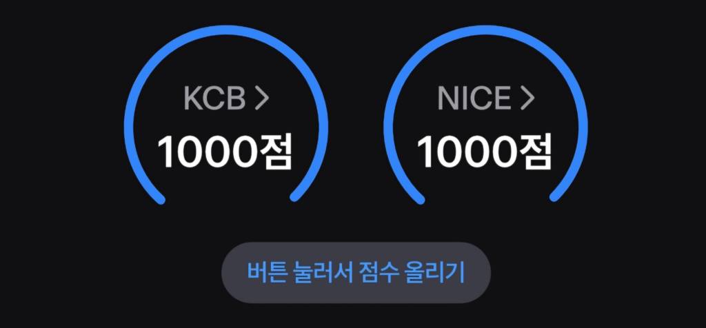 KCB와 NICE 신용점수 모두 1000점 달성