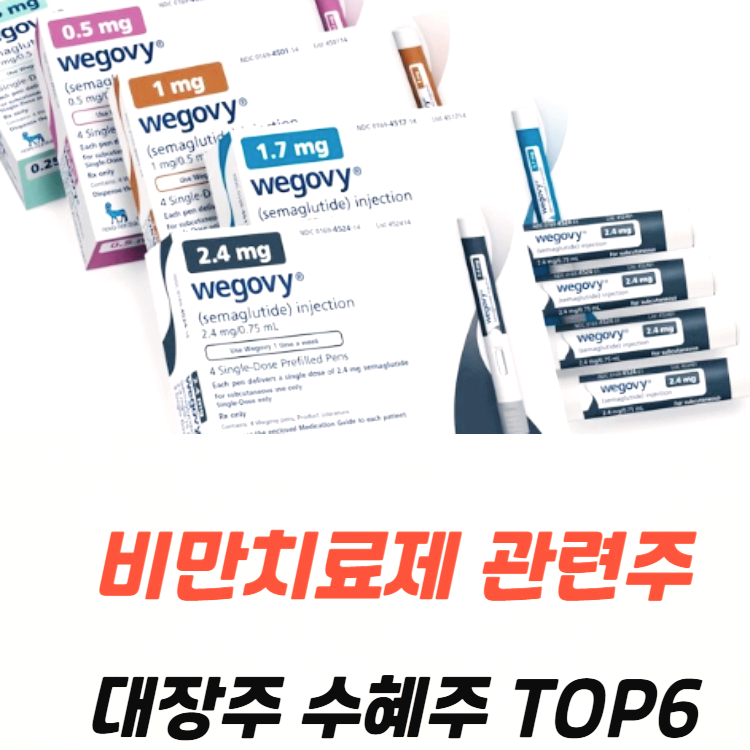 비만치료제 관련주 대장주 TOP6