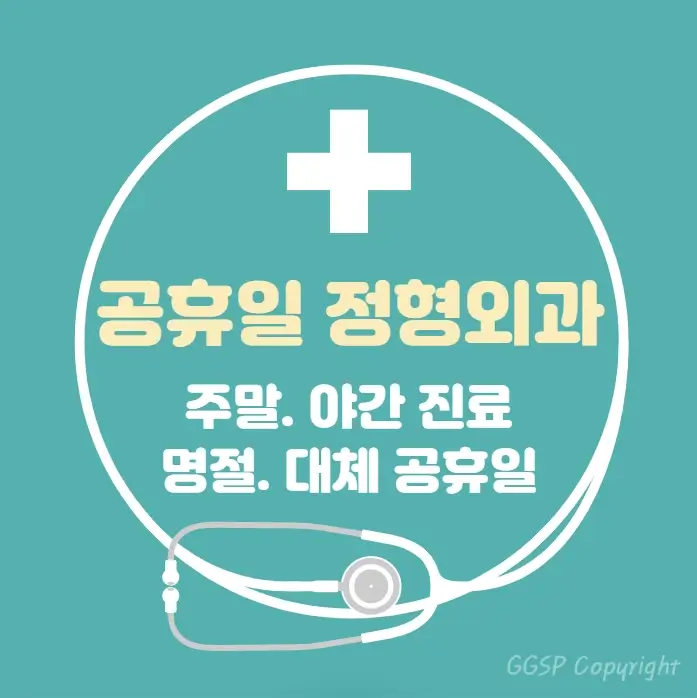  공휴일 24시간 병원 정형외과 | 대체공휴일 진료 당직병원 찾기