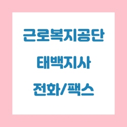  근로복지공단 태백지사 전화번호 , 팩스번호