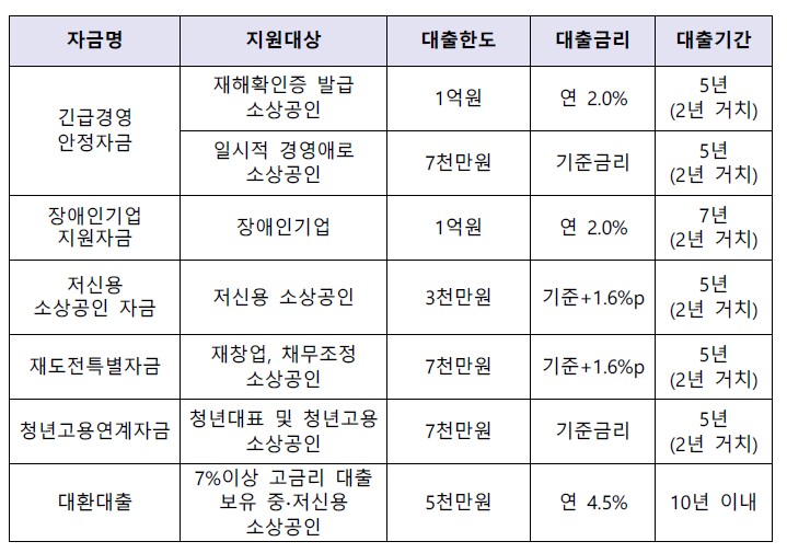 소상공인정책자금 대리대출