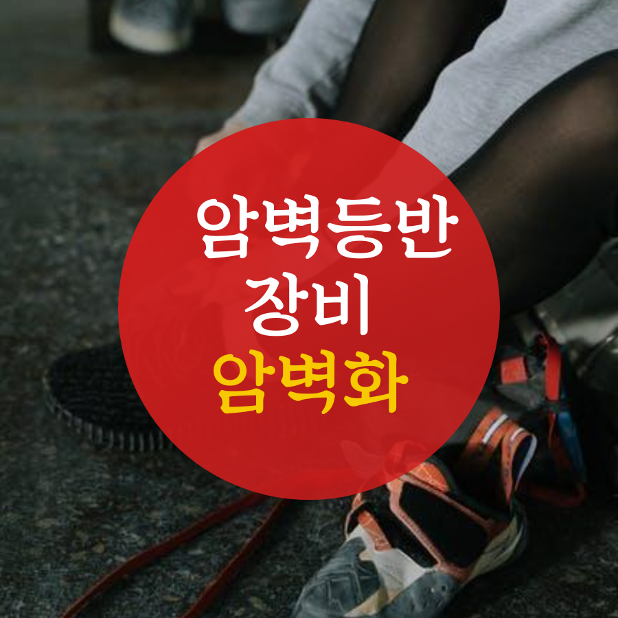  클라이밍 장비 - 암벽화