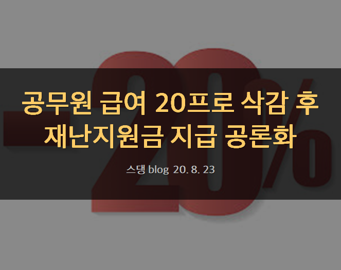  공무원 급여 20프로 삭감 후 재난지원금 지급 공론화