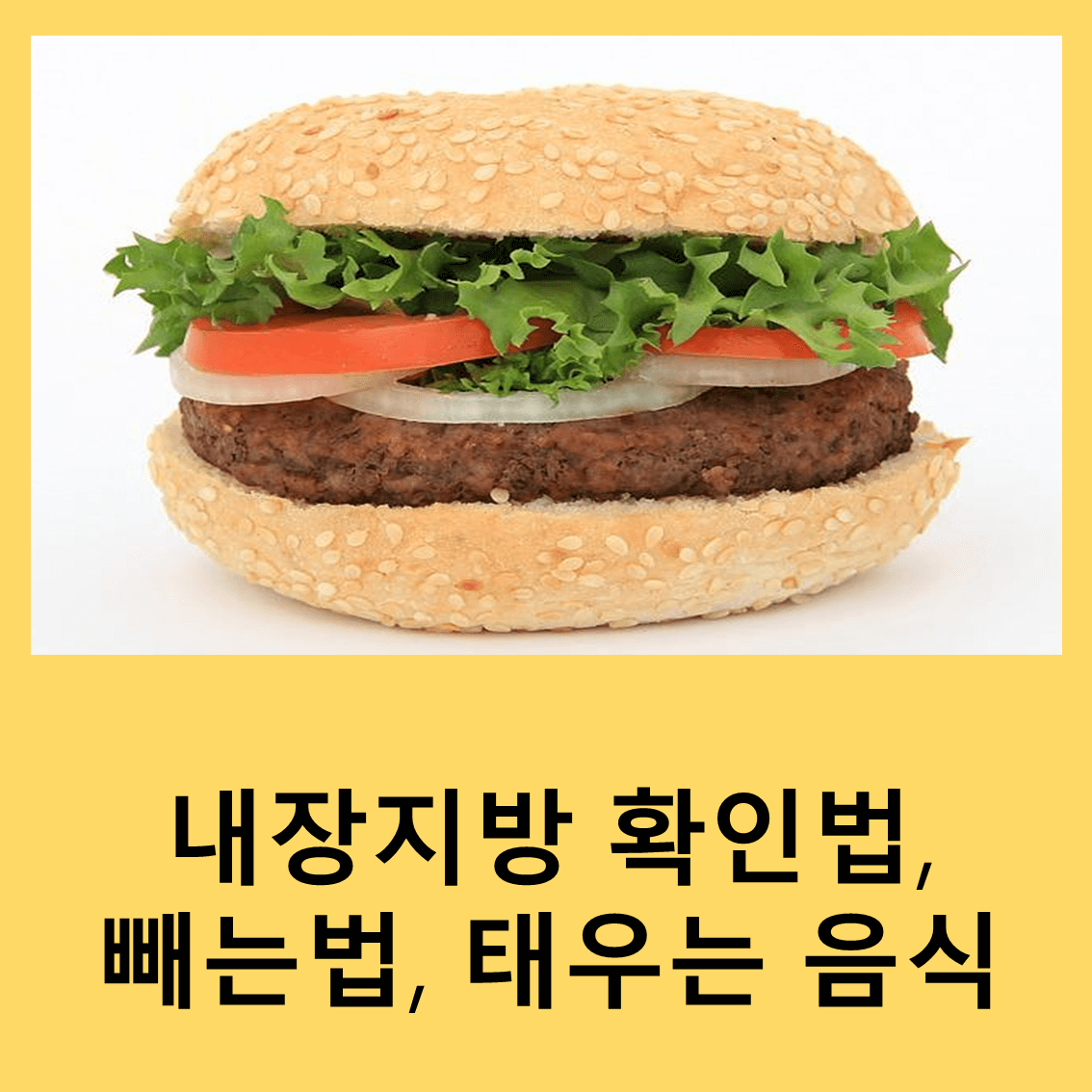 내장지방