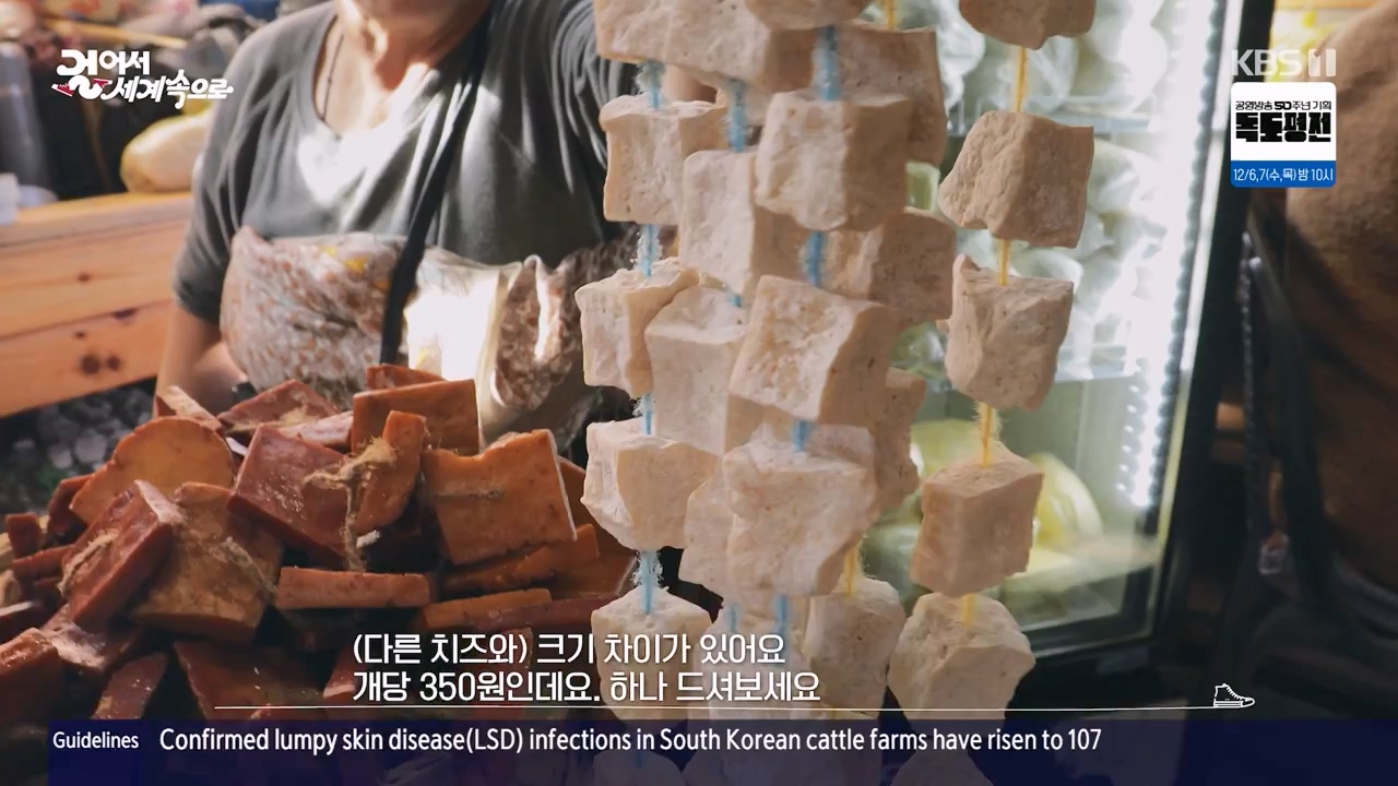 걸어서 세계속으로.E819.231126p-NEXT.mp4_20231126_173705.677.jpg