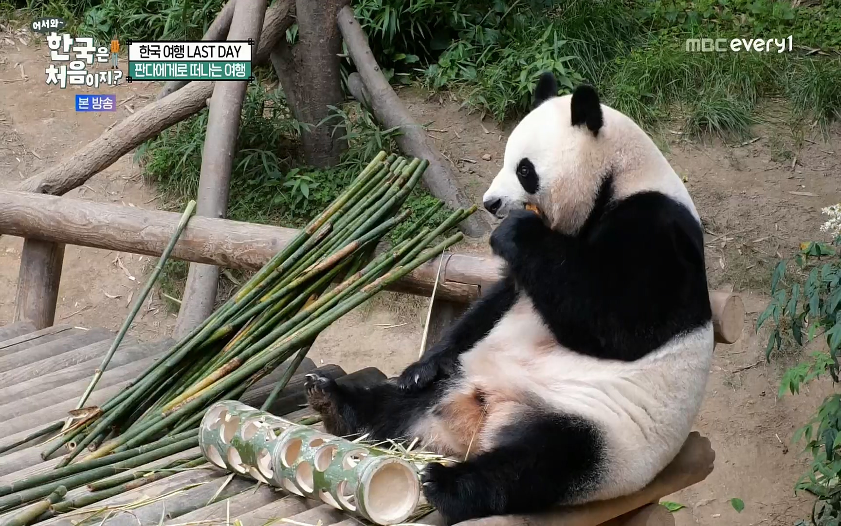 어서와~ 한국은 처음이지.E259.220901p.H264-F1RST.mp4_20220902_202147.364.jpg