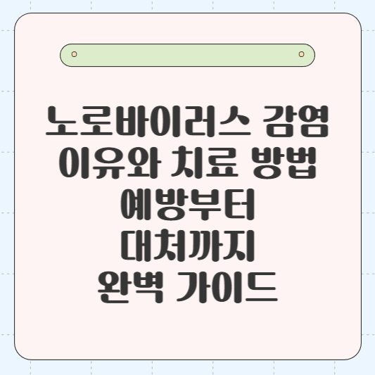 노로바이러스 감염 이유와 치료 방법: 예방부터 대처까지 완벽 가이드 🦠