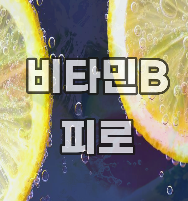 비타민-b-B-피로-영야제-추천