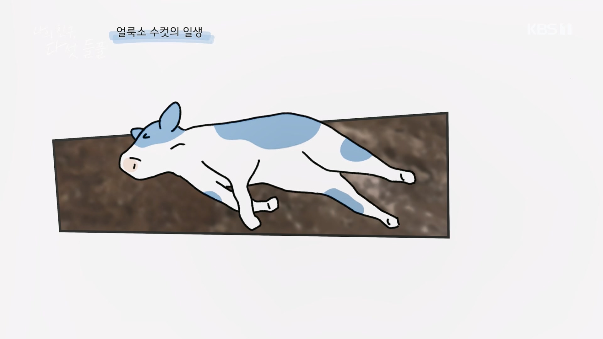 특집 다큐 나의 친구, 다섯 들풀.240119p.H264-F1RST.mp4_20240121_151736.350.jpg