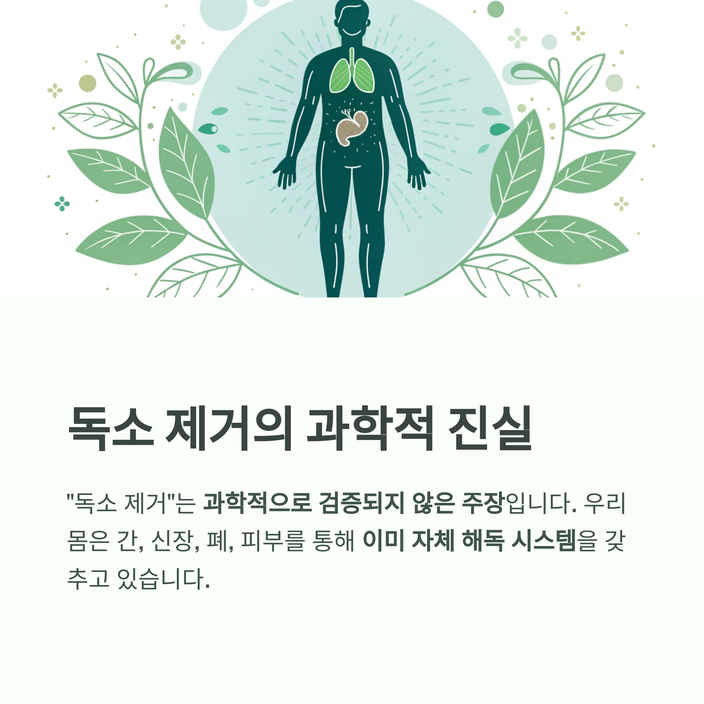 디톡스 다이어트, 정말 해독이 될까? 효과와 부작용의 진실 - 몸속 독소를 빼준다는 디톡스 다이어트, 과연 과학적일까요? - 진짜 독소는 디톡스로 빠지지 않는다? 디톡스 다이어트, 정말 해독이 될까? 효과와 부작용의 진실 - 몸속 독소를 빼준다는 디톡스 다이어트, 과연 과학적일까요? - 진짜 독소는 디톡스로 빠지지 않는다?