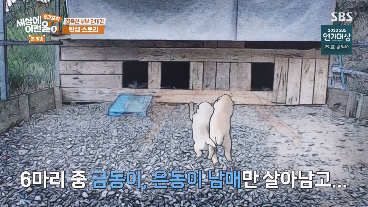 순간포착 세상에 이런일이.E1256.231217p-NEXT.mp4_20231217_175015.986.jpg