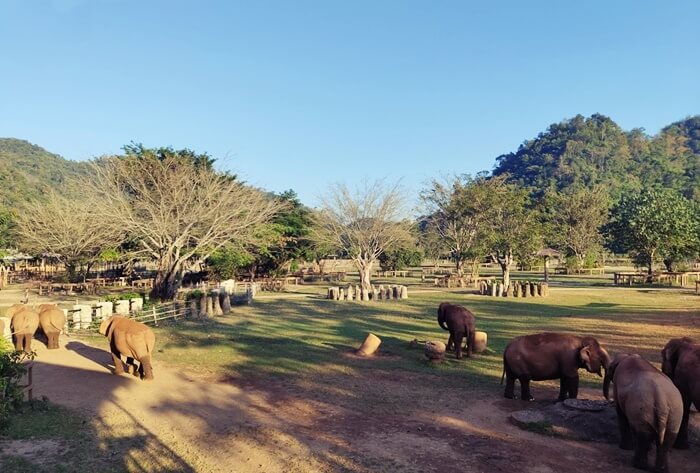 Elephant Nature Park