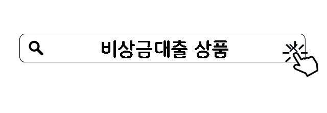 비상금대출 상품