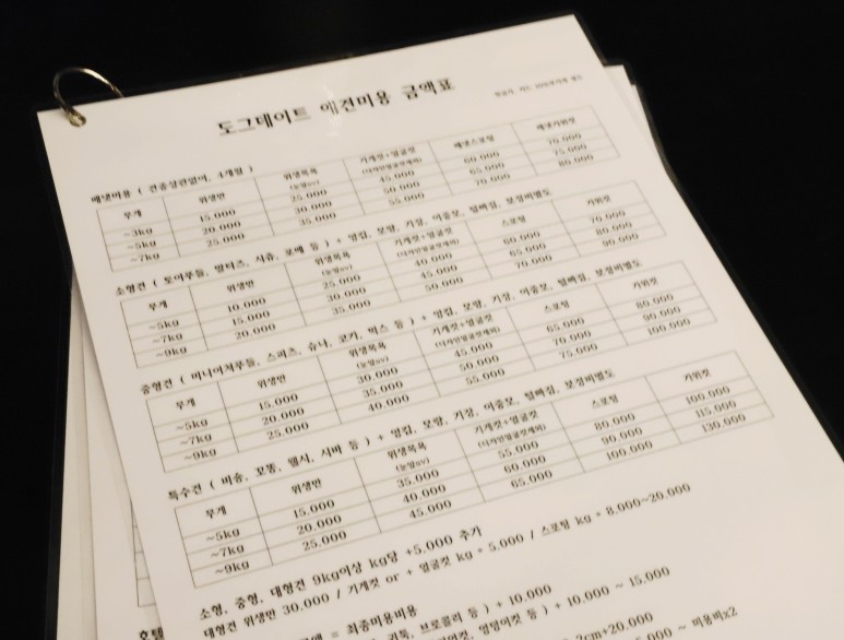 황금동 '도그 데이트' 가게 위쪽 굿! 대구 애견호텔 미용 2