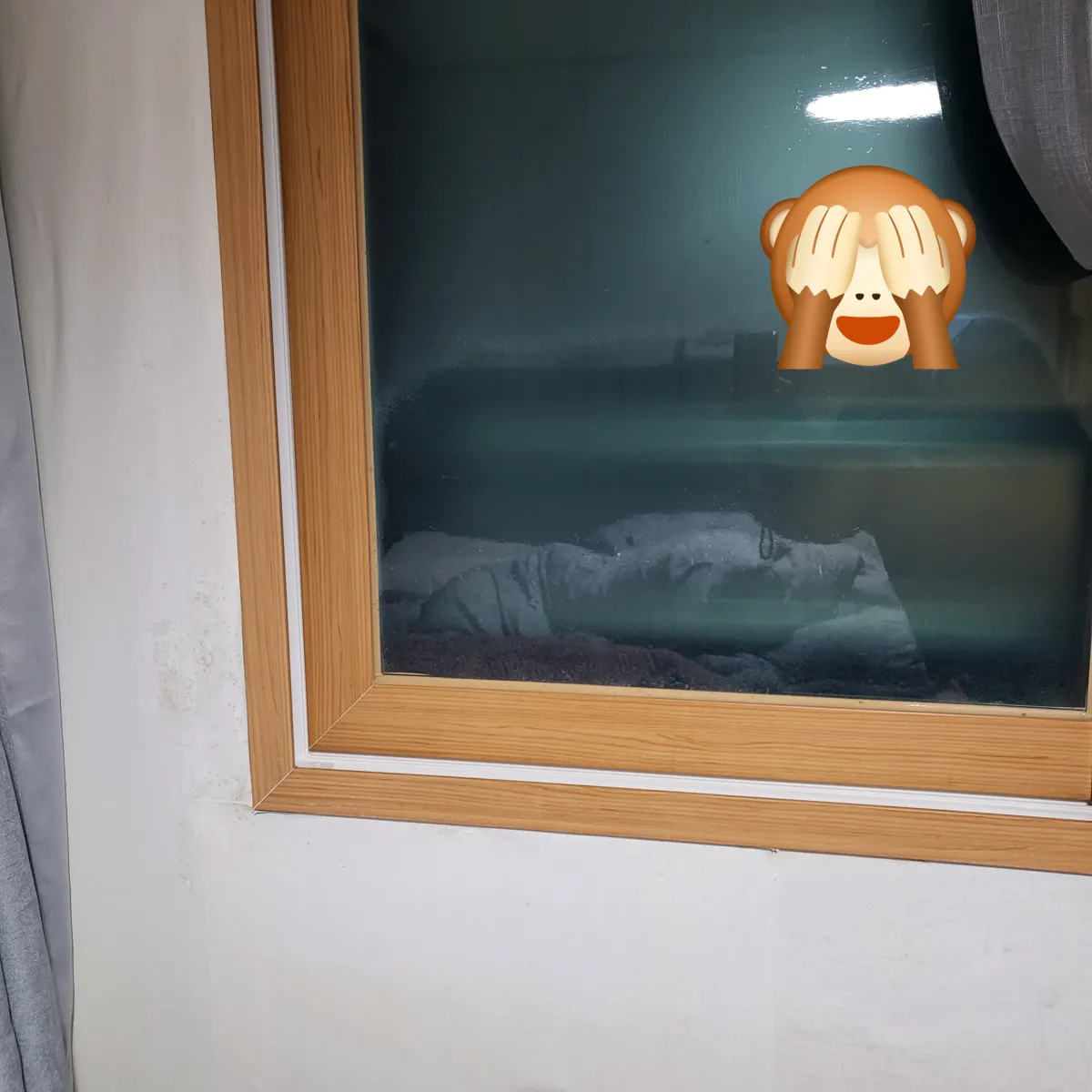 곰팡이-제거-후-벽면