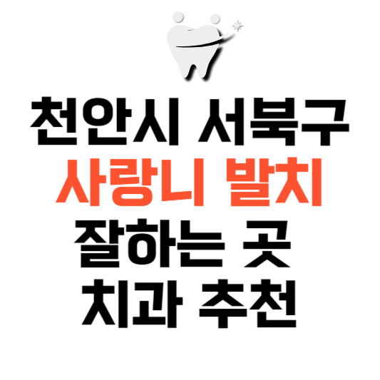 충남 천안시 서북구 사랑니 치과 발치 잘하는 곳 추천 매복 가격 비용.png