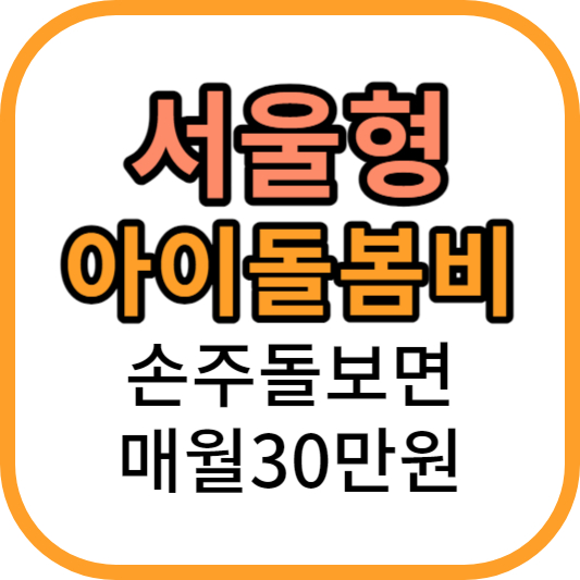 서울시 아이돌봄비