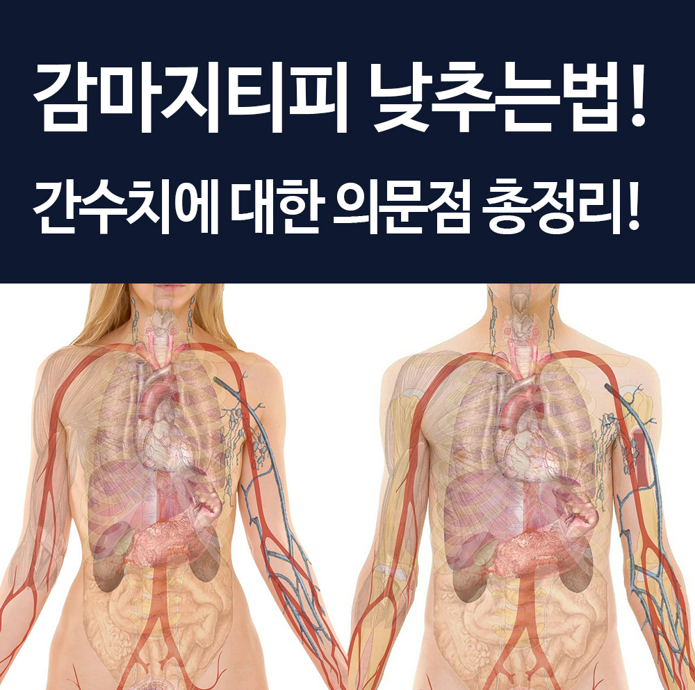  감마지티피 수치 (ALT/AST) 낮추는법! 간수치 간기능에 대한 의문점 총정리 했어요!