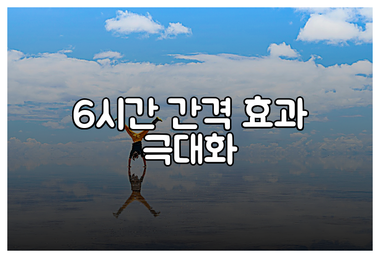 6시간 간격 효과 극대화