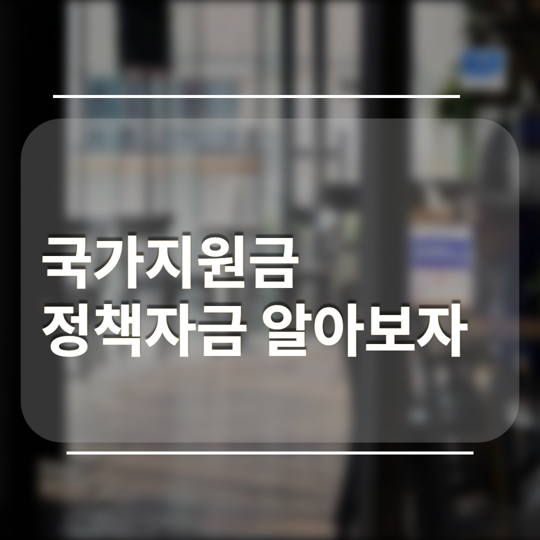  국가지원금  정부예산 지원받기