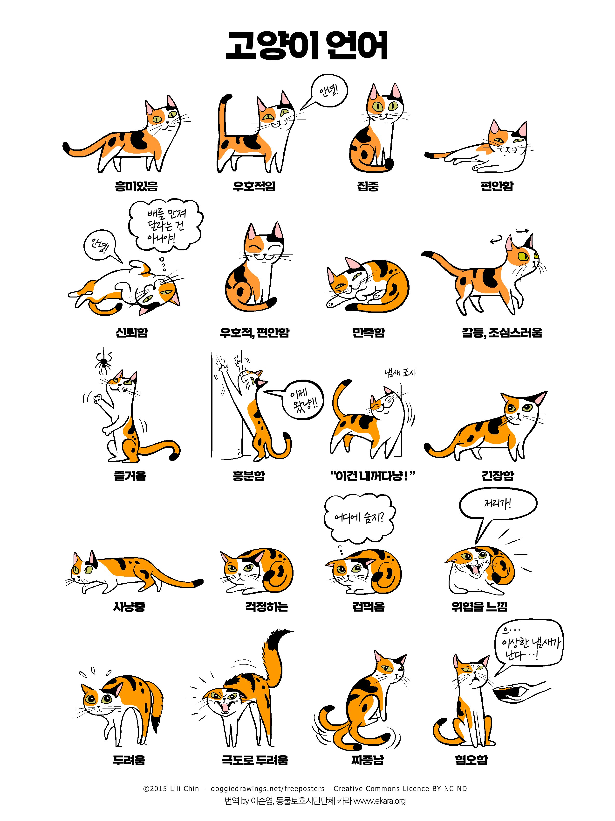 인포그래픽] 고양이 언어, 고양이가 우리에게 보내는 '카밍 시그널'
