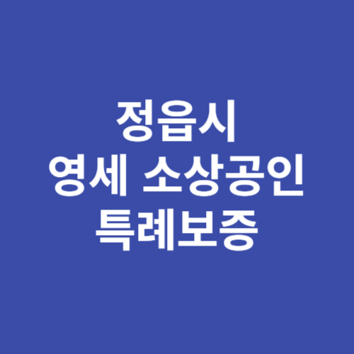 정읍시 영세 소상공인 특례보증