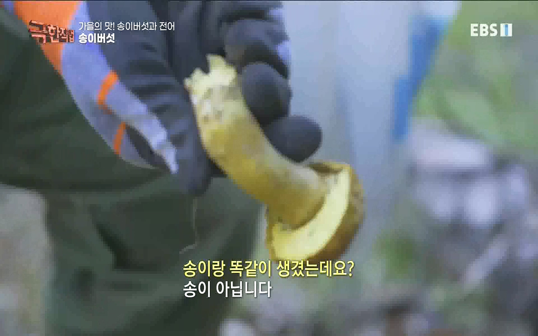 송이버섯과 전어 221008.mp4_20221012_213437.225.jpg