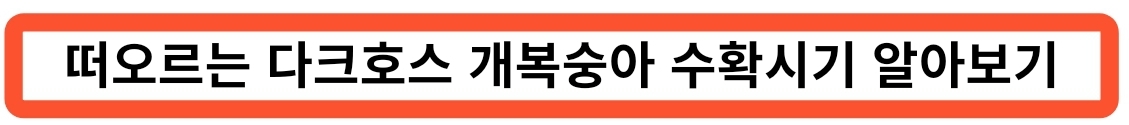 참깨 수확시기? 고소한 참깨는 언제 수확될까? 참깨 수확에 대한 궁금증을 풀어보자!
