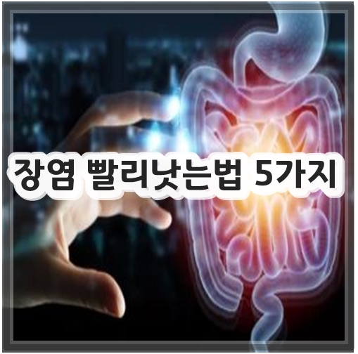 장염 빨리낫는법 5가지