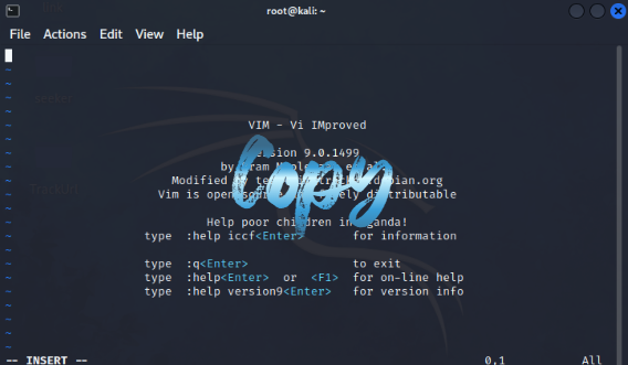  Kali Linux File Copy [ 3 ]