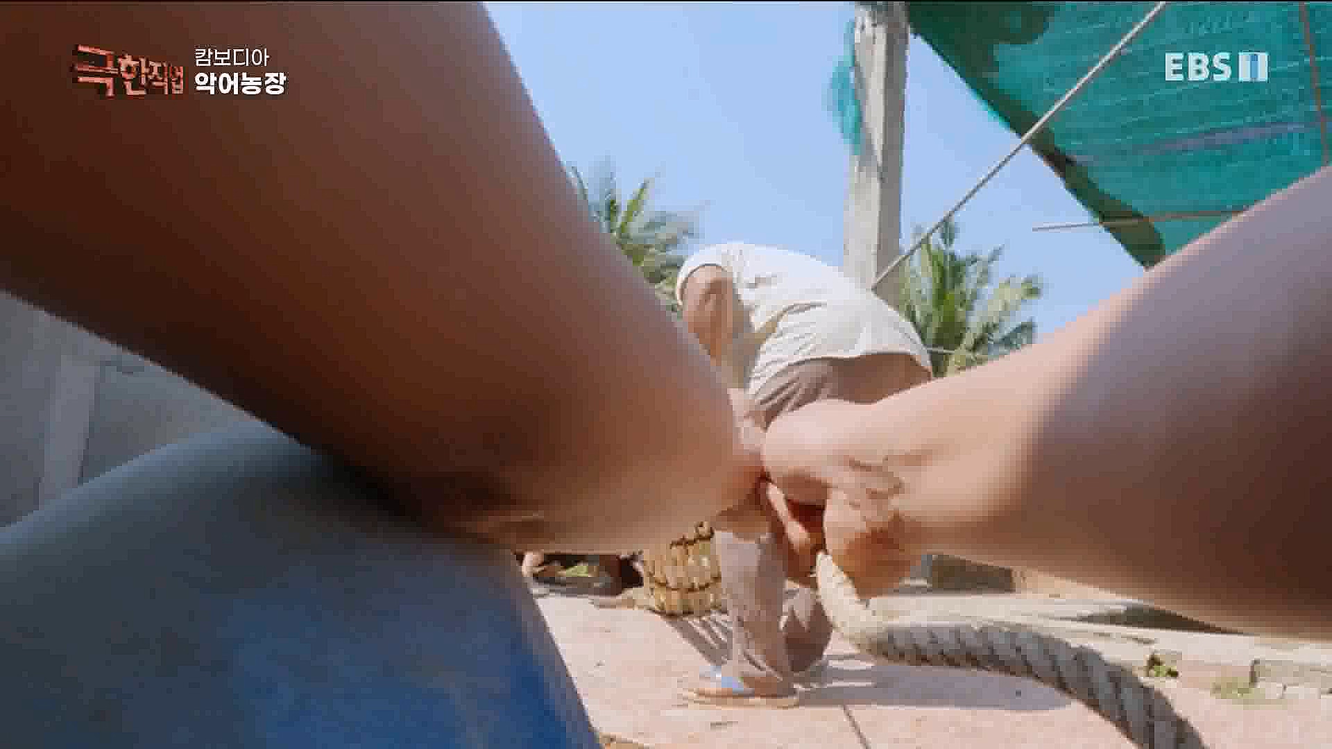 캄보디아 악어농장 230325.mp4_20230327_194955.133.jpg