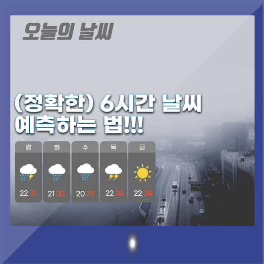  [정확한 날씨] 예상강수량 확인 하는법 (feat. 날씨비 or 날씨눈)