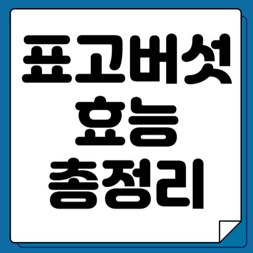 표고버섯 효능 열두가지