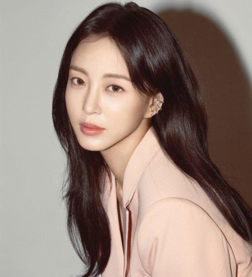 한예슬, 배우 한예슬, 버닝썬의 H 양인가! 남자 친구는 왜 ...
