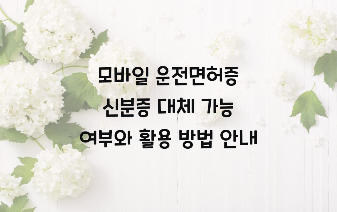 모바일 운전면허증 신분증 대체 가능 여부